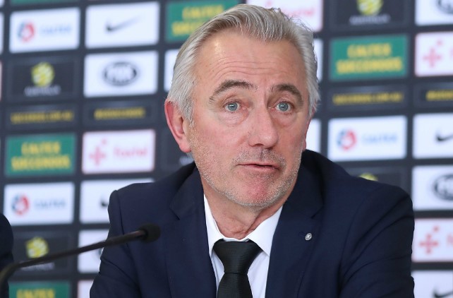 BERT VAN MARWIJK