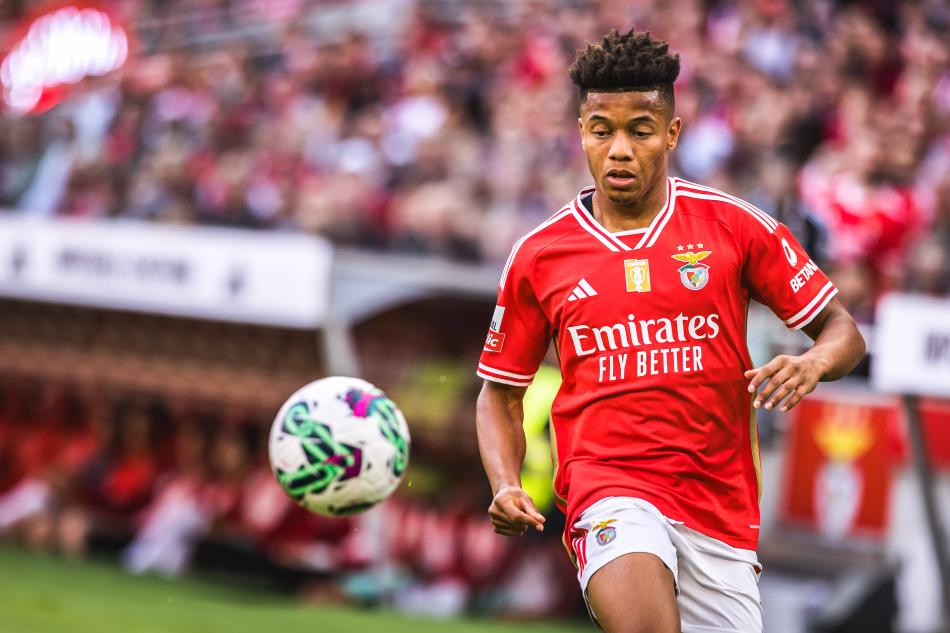 DAVID NERES DE RADARDA