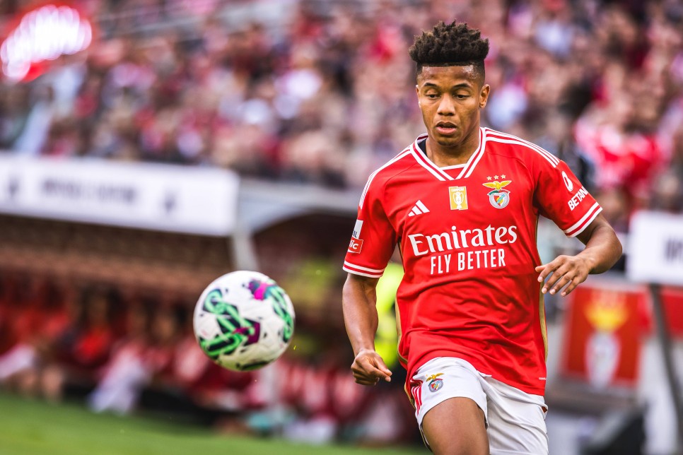 DAVID NERES DE RADARDA